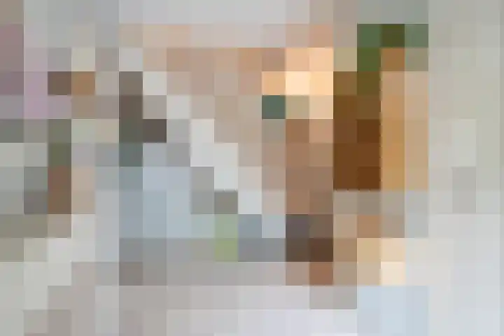 Tuinstraat 16 Beek en Donk thumbnail 8
