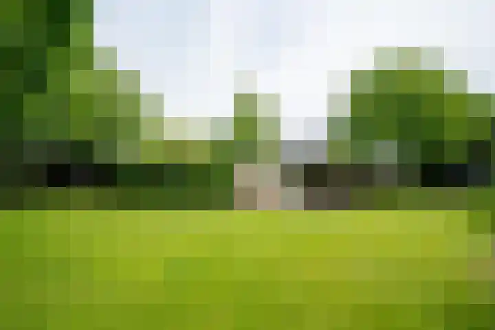 Tuinstraat 16 Beek en Donk thumbnail 81