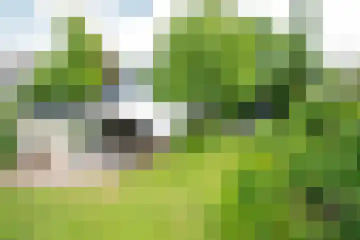 Tuinstraat 16 Beek en Donk thumbnail 83