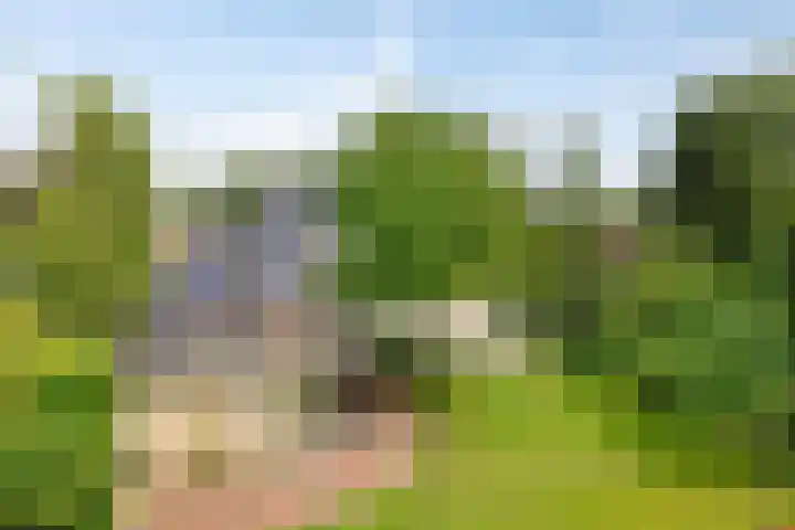 Tuinstraat 16 Beek en Donk thumbnail 84