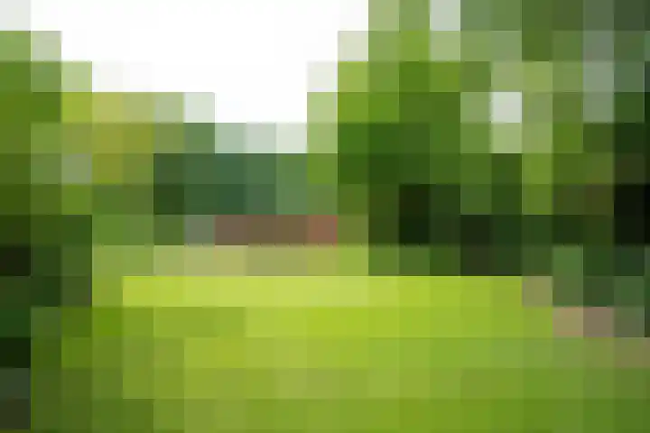 Tuinstraat 16 Beek en Donk thumbnail 85