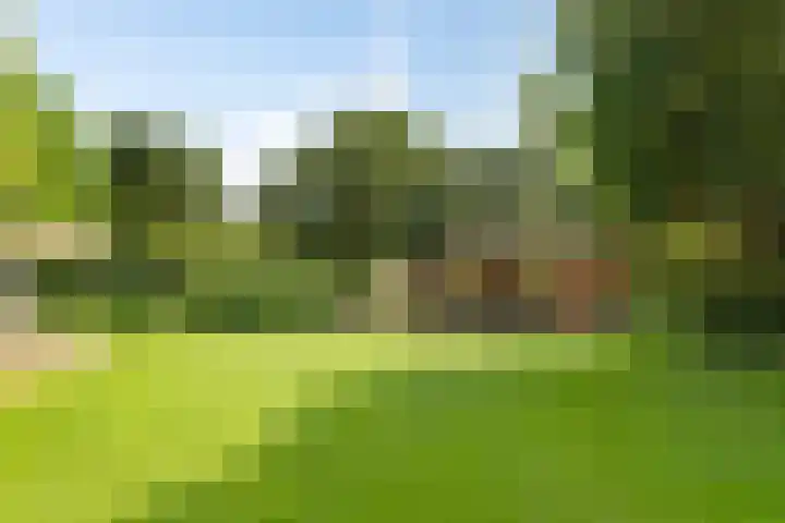 Tuinstraat 16 Beek en Donk thumbnail 86