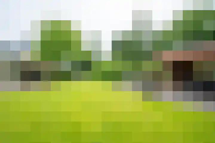 Tuinstraat 16 Beek en Donk thumbnail 88