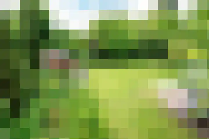Tuinstraat 16 Beek en Donk thumbnail 90