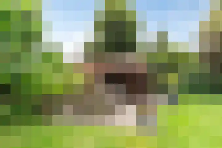 Tuinstraat 16 Beek en Donk thumbnail 91