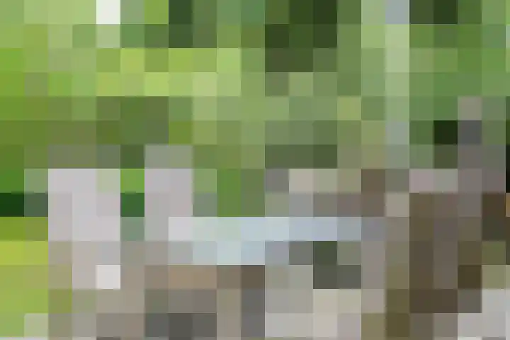 Tuinstraat 16 Beek en Donk thumbnail 93