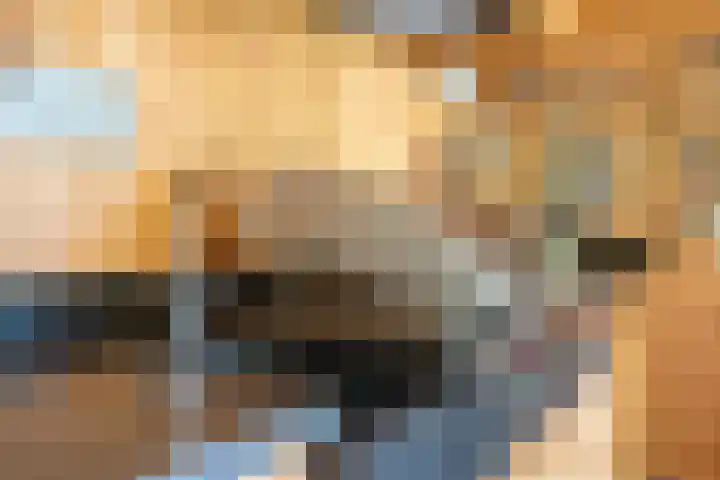Tuinstraat 16 Beek en Donk thumbnail 96