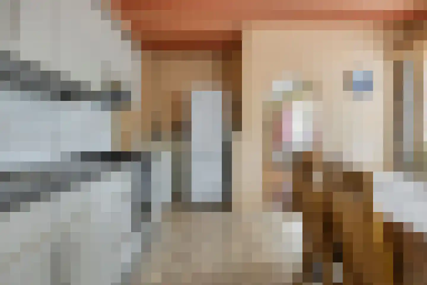 Tuinstraat 16 Zwaagdijk-Oost thumbnail 10