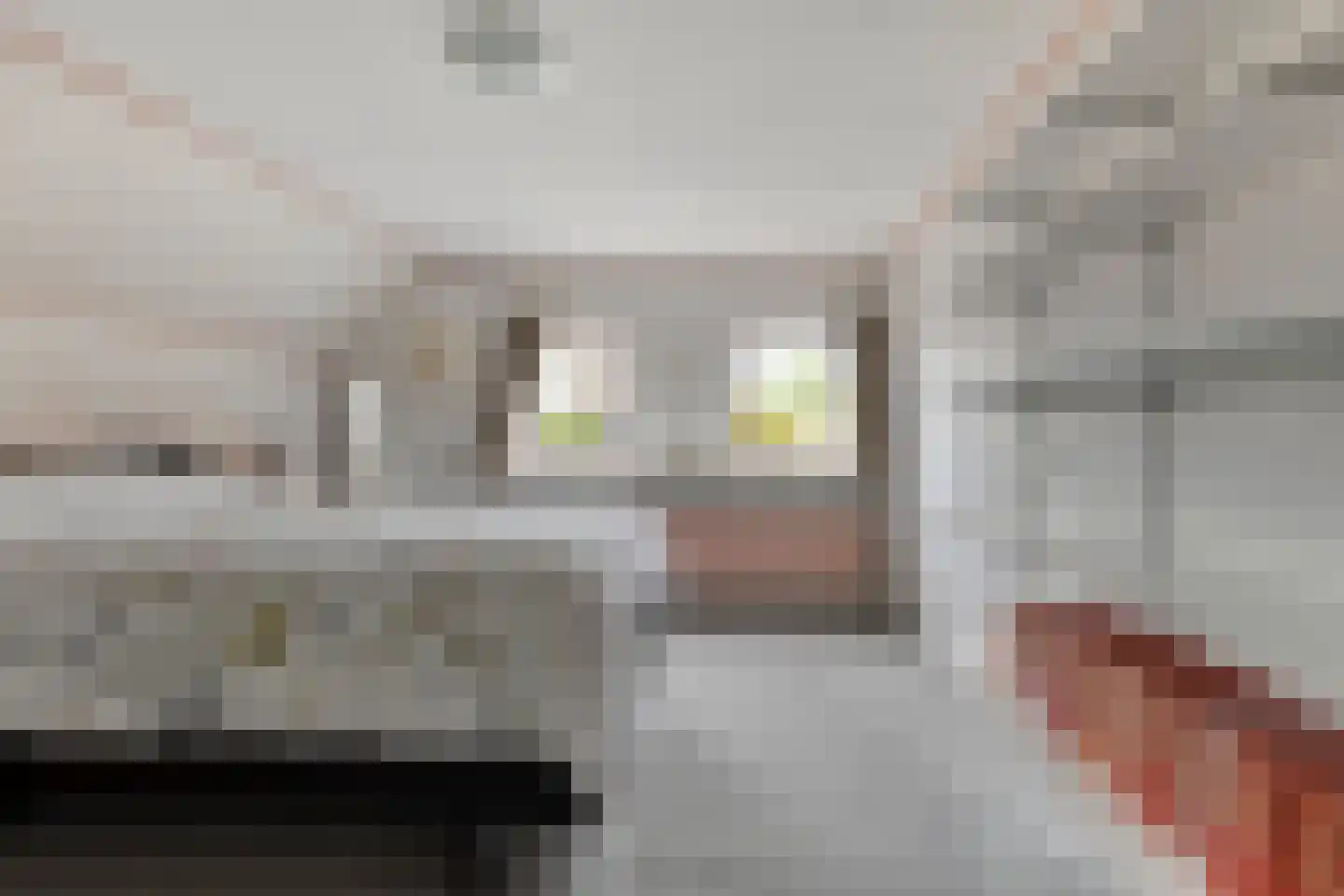 Tuinstraat 16 Zwaagdijk-Oost thumbnail 13
