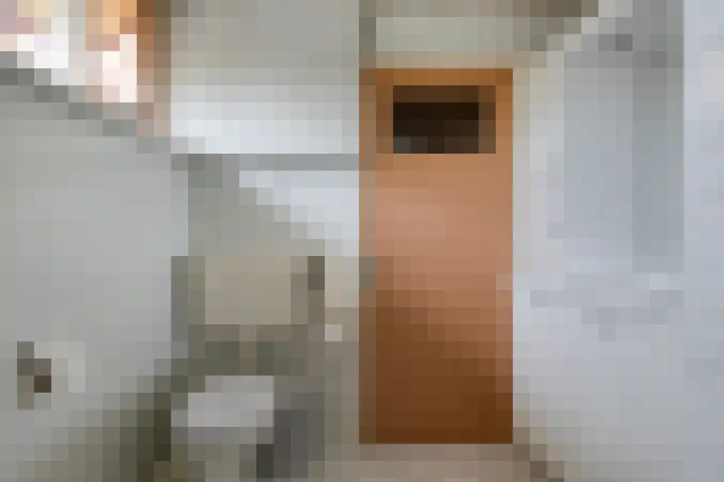 Tuinstraat 16 Zwaagdijk-Oost thumbnail 23