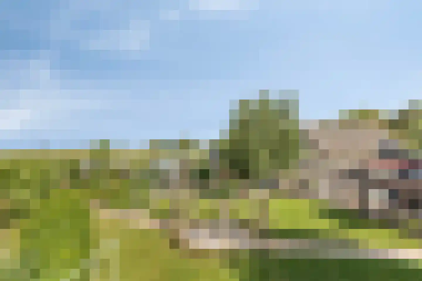 Tuinstraat 16 Zwaagdijk-Oost thumbnail 27