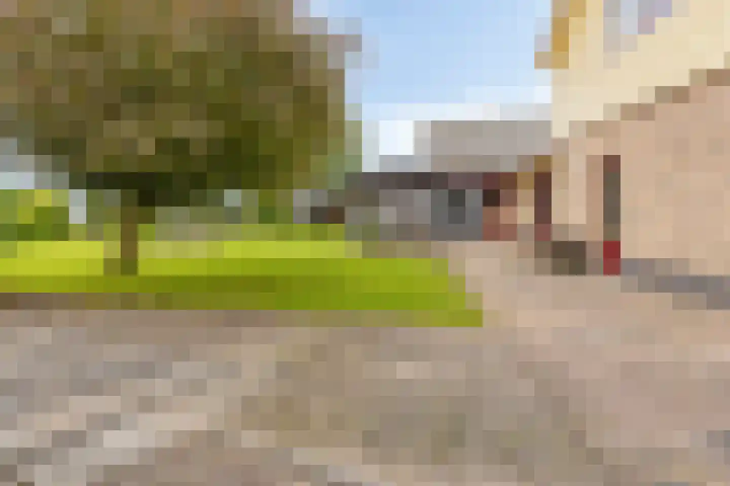 Tuinstraat 16 Zwaagdijk-Oost thumbnail 29