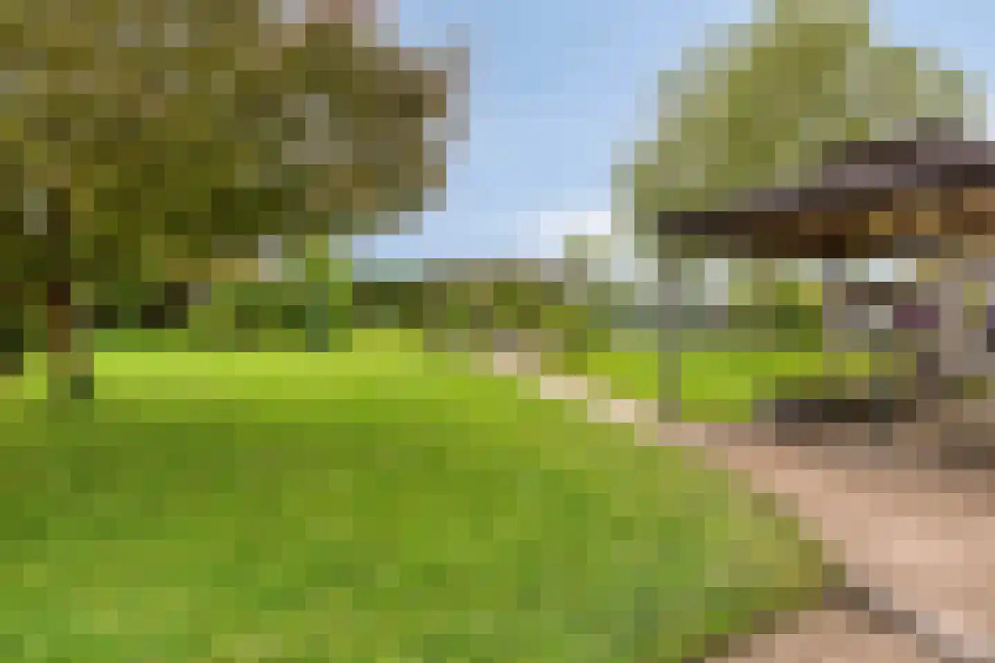Tuinstraat 16 Zwaagdijk-Oost thumbnail 30
