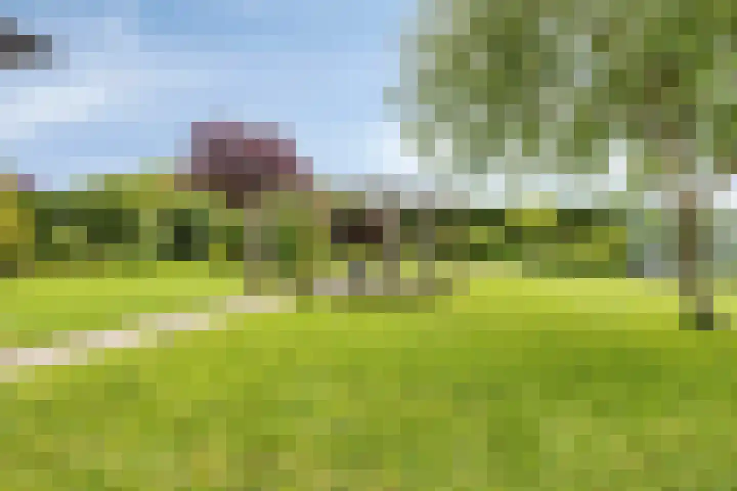Tuinstraat 16 Zwaagdijk-Oost thumbnail 32