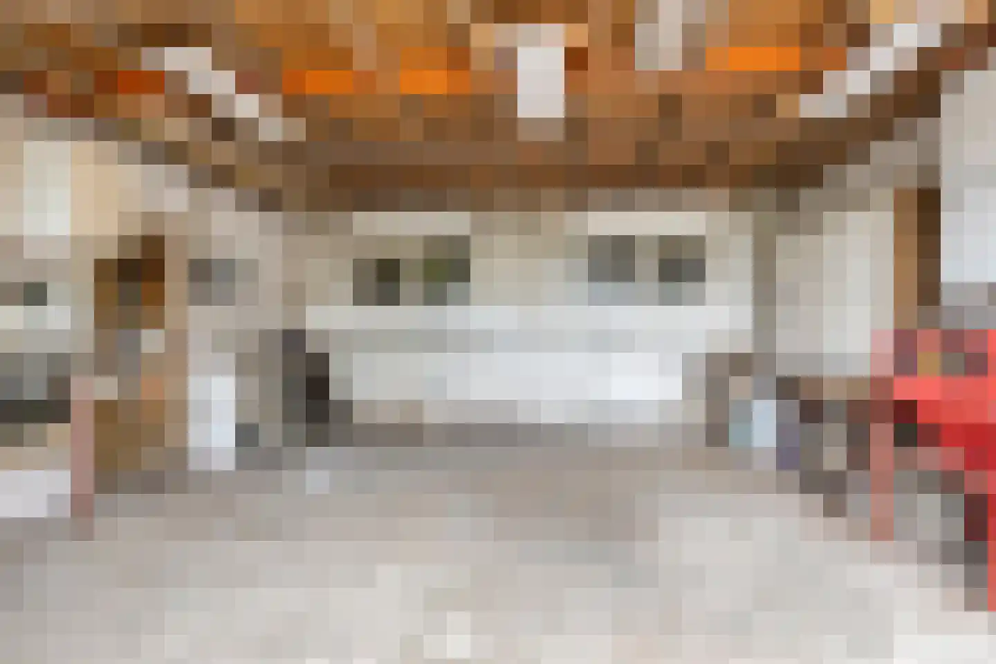 Tuinstraat 16 Zwaagdijk-Oost thumbnail 38