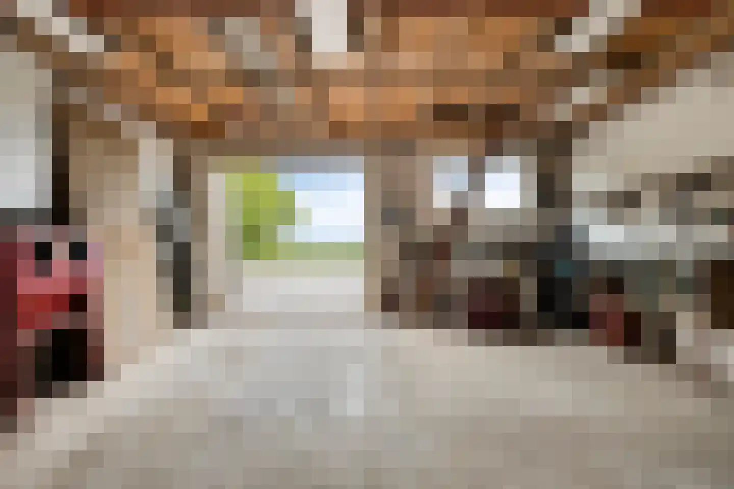 Tuinstraat 16 Zwaagdijk-Oost thumbnail 39