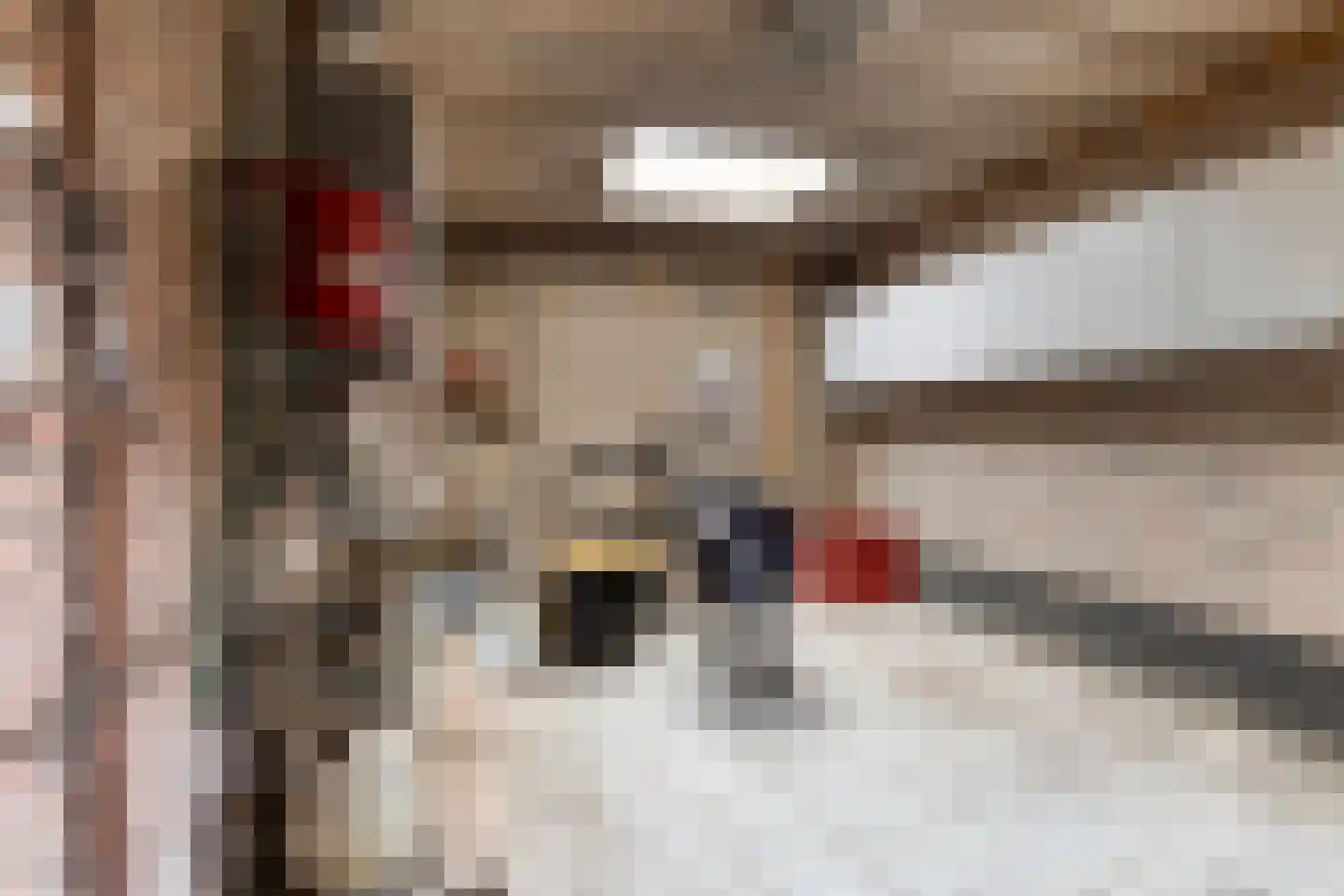 Tuinstraat 16 Zwaagdijk-Oost thumbnail 40