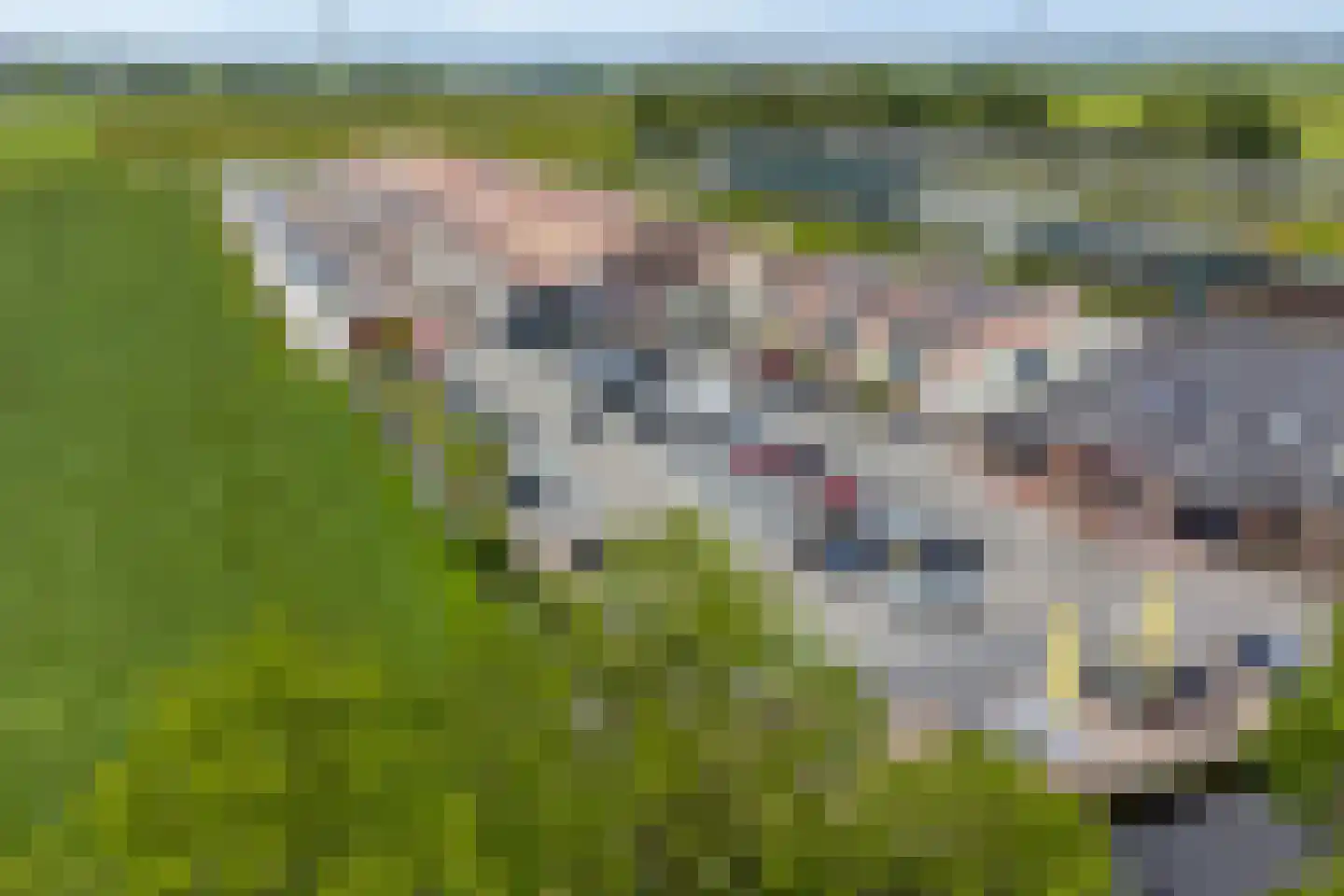 Tuinstraat 16 Zwaagdijk-Oost thumbnail 44