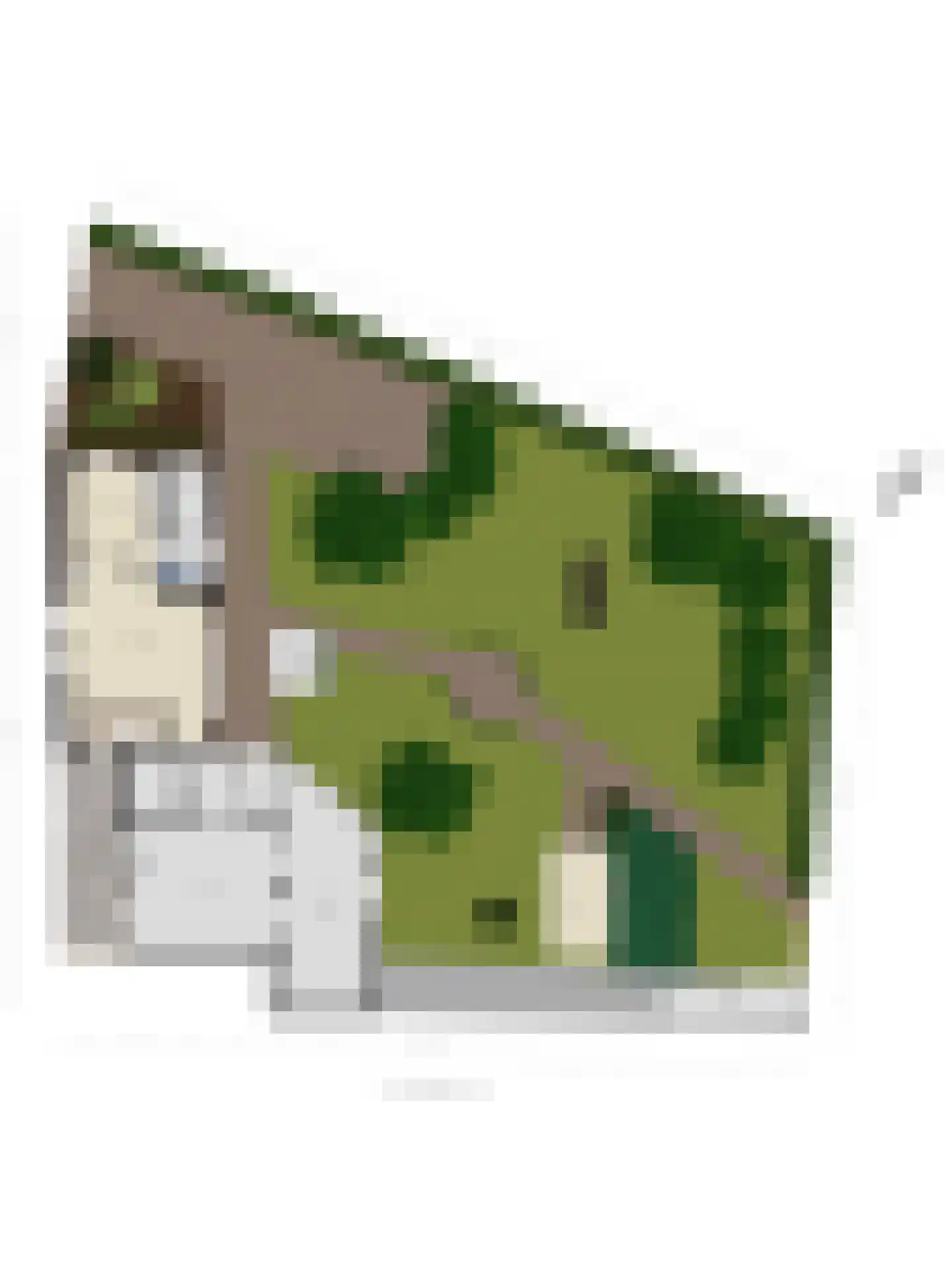 Tuinstraat 16 Zwaagdijk-Oost thumbnail 45