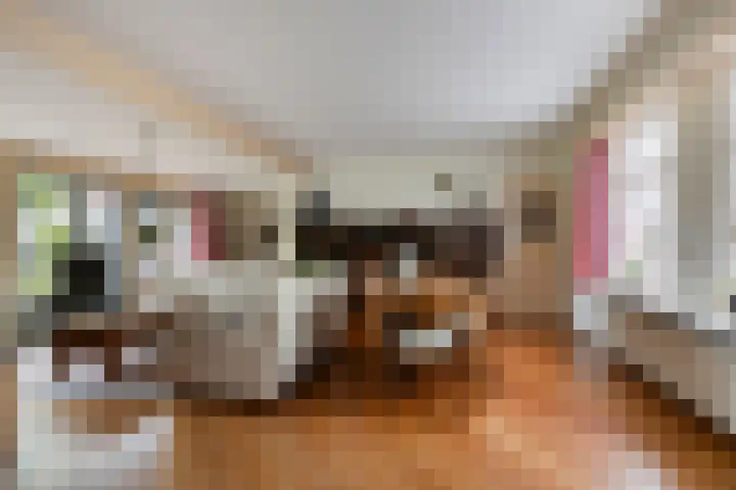 Tuinstraat 16 Zwaagdijk-Oost thumbnail 5