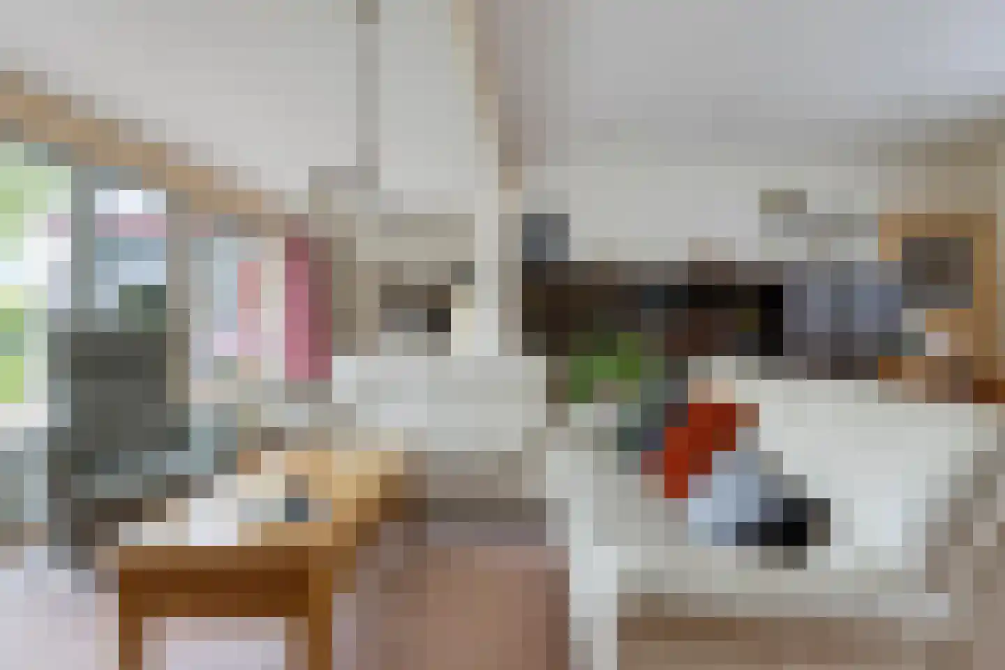 Tuinstraat 16 Zwaagdijk-Oost thumbnail 6