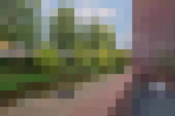 Tuinstraat 17 Almelo thumbnail 21