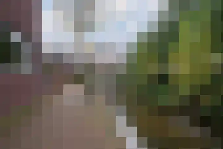 Tuinstraat 17 Almelo thumbnail 28