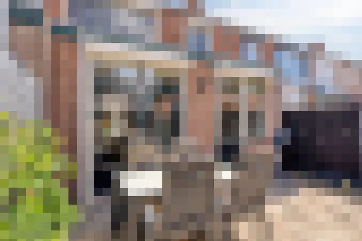 Tuinstraat 17 Sint-Annaland thumbnail 38