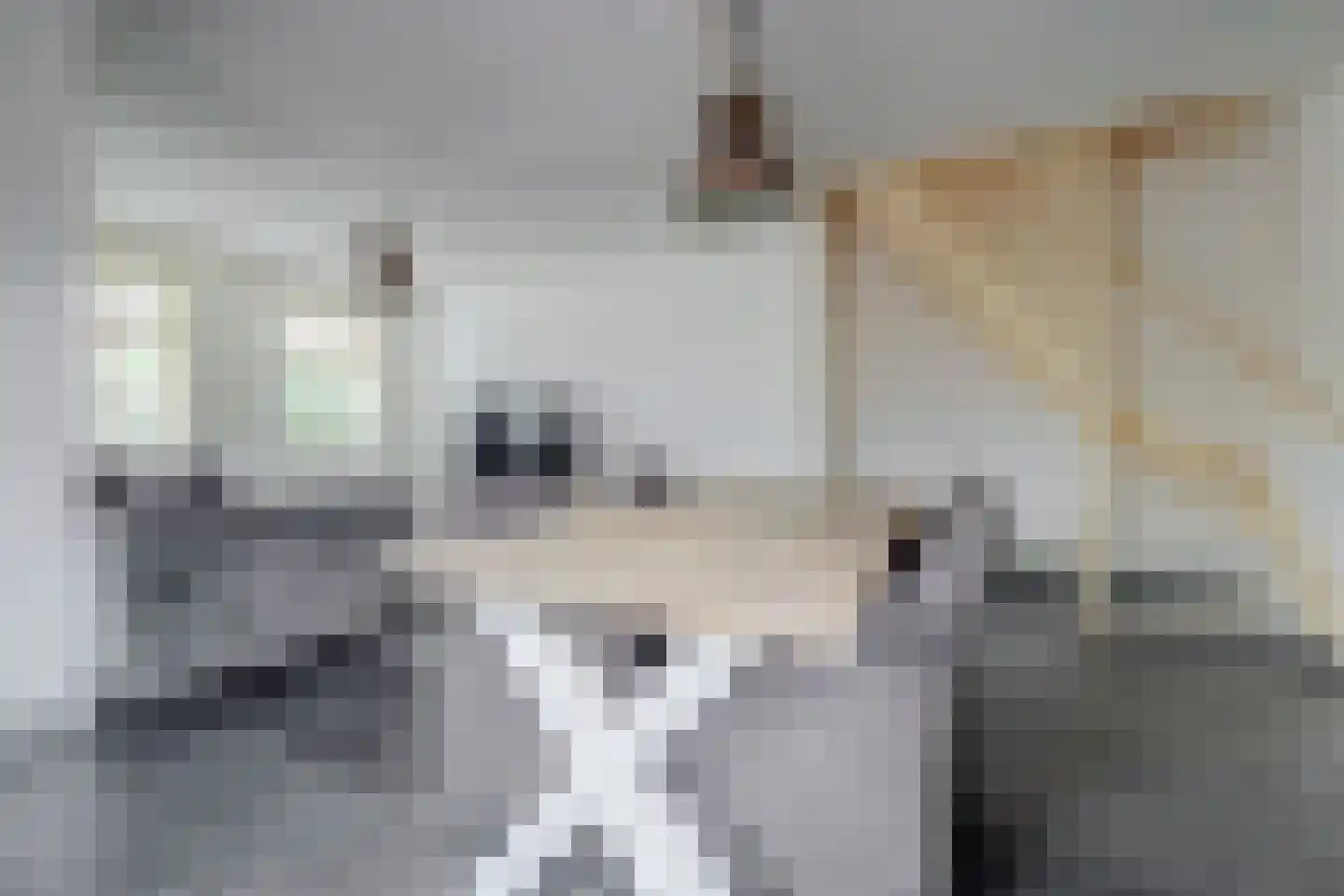 Tuinstraat 17 Veen thumbnail 11