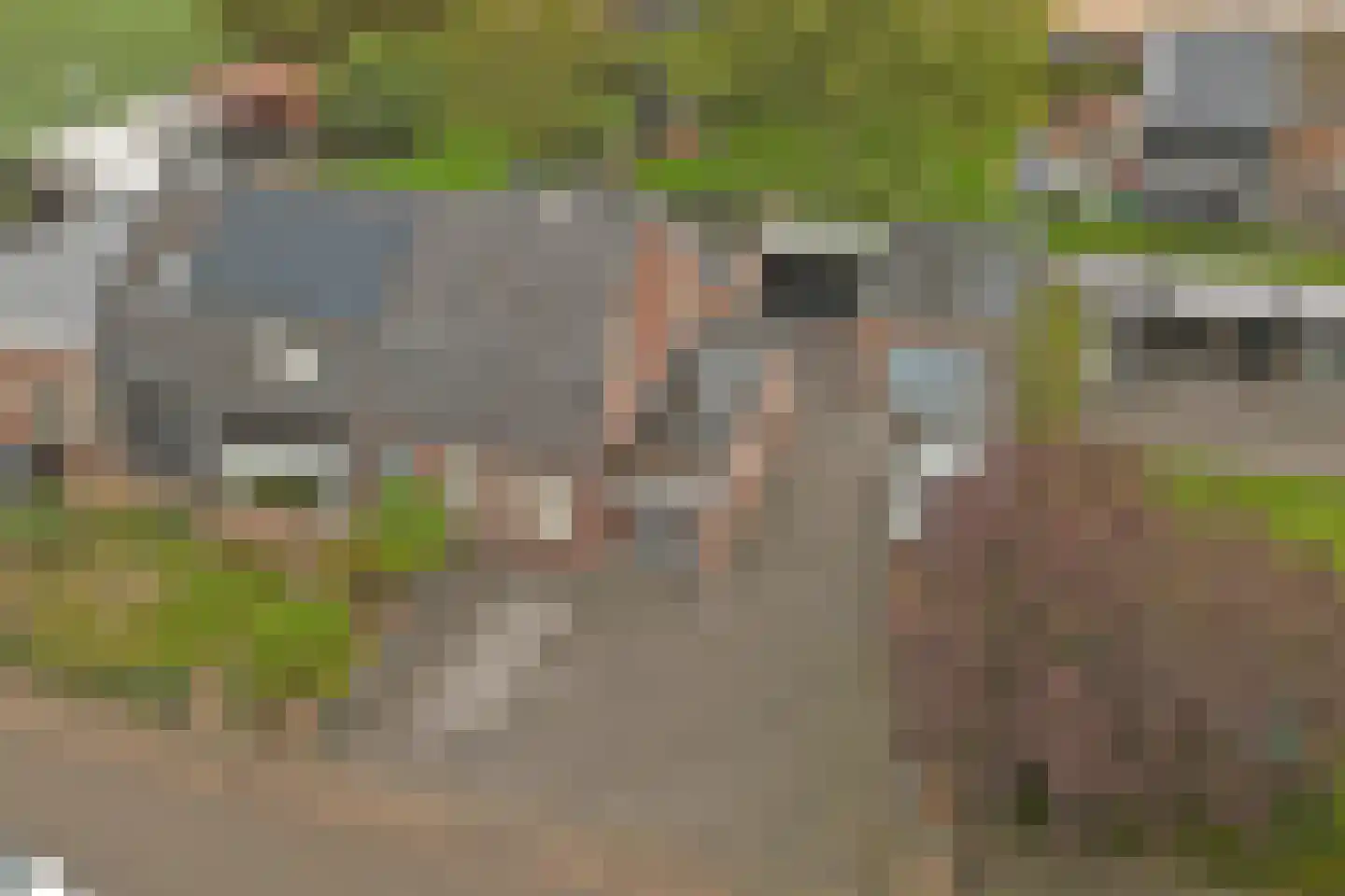 Tuinstraat 17 Veen thumbnail 29