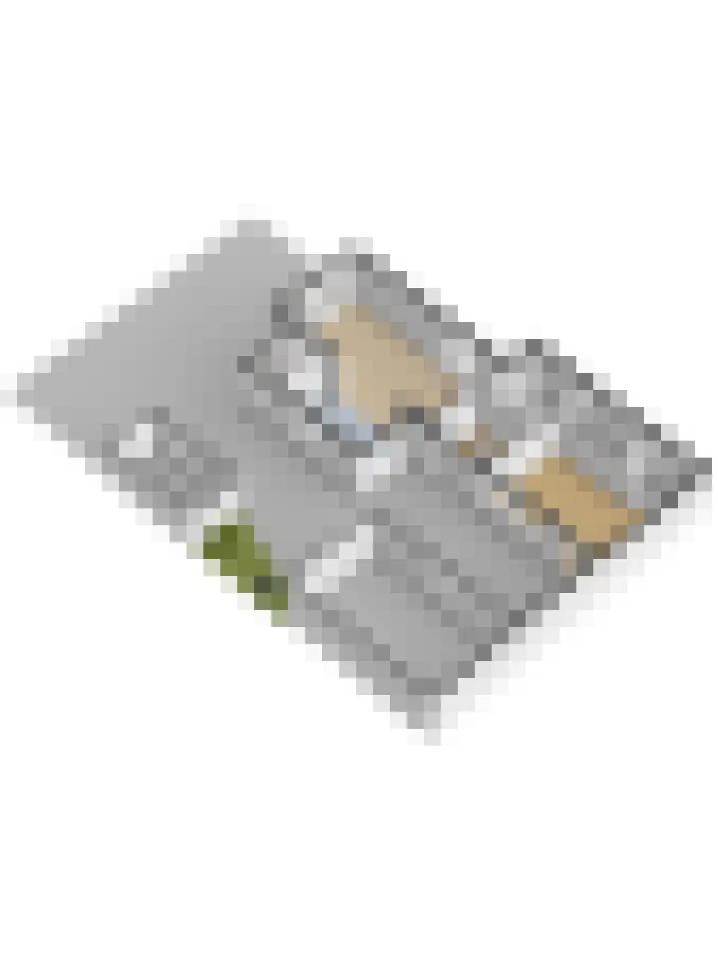 Tuinstraat 17 Veen thumbnail 34