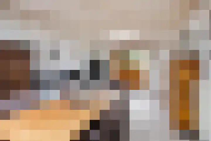 Tuinstraat 17 Venray thumbnail 21