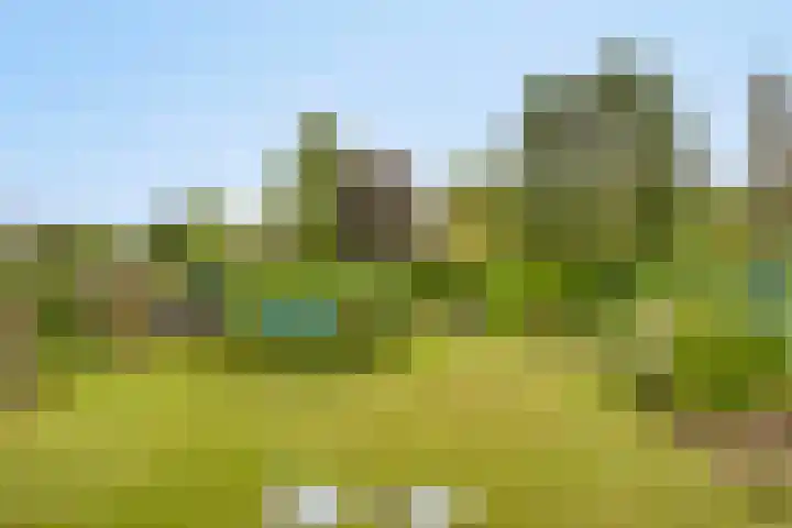 Tuinstraat 17 Venray thumbnail 29