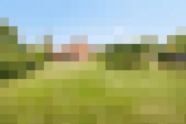 Tuinstraat 17 Venray thumbnail 4