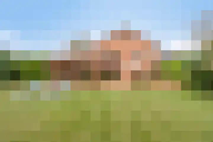 Tuinstraat 17 Venray thumbnail 42