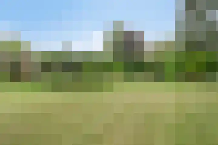 Tuinstraat 17 Venray thumbnail 49