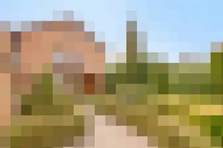 Tuinstraat 17 Venray thumbnail 5