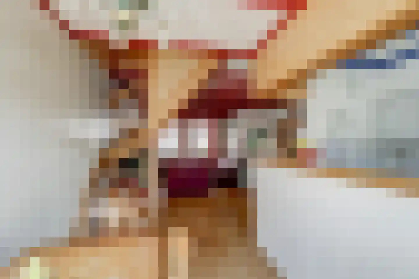 Tuinstraat 17 Zaandijk thumbnail 11