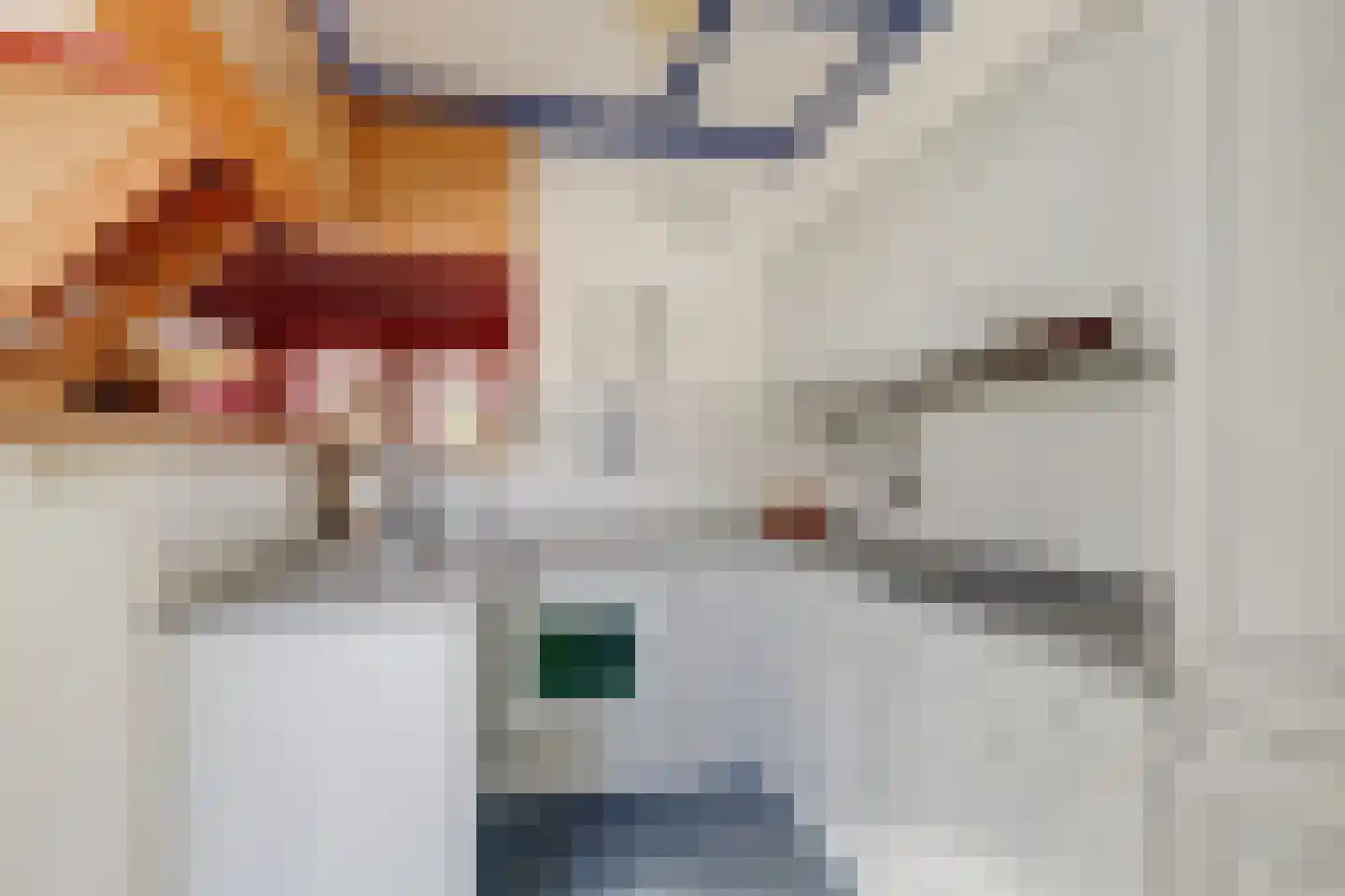 Tuinstraat 17 Zaandijk thumbnail 12