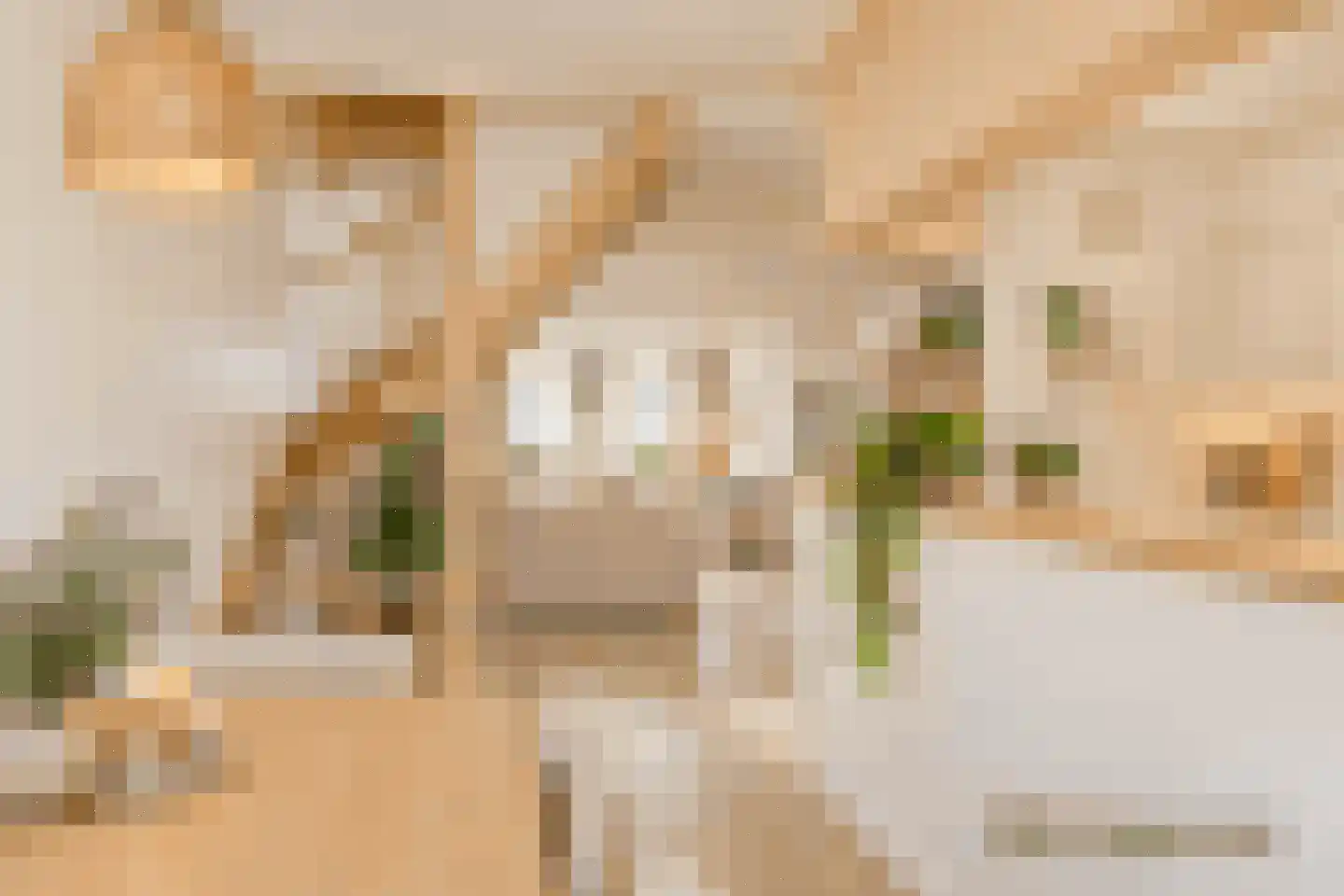 Tuinstraat 17 Zaandijk thumbnail 13