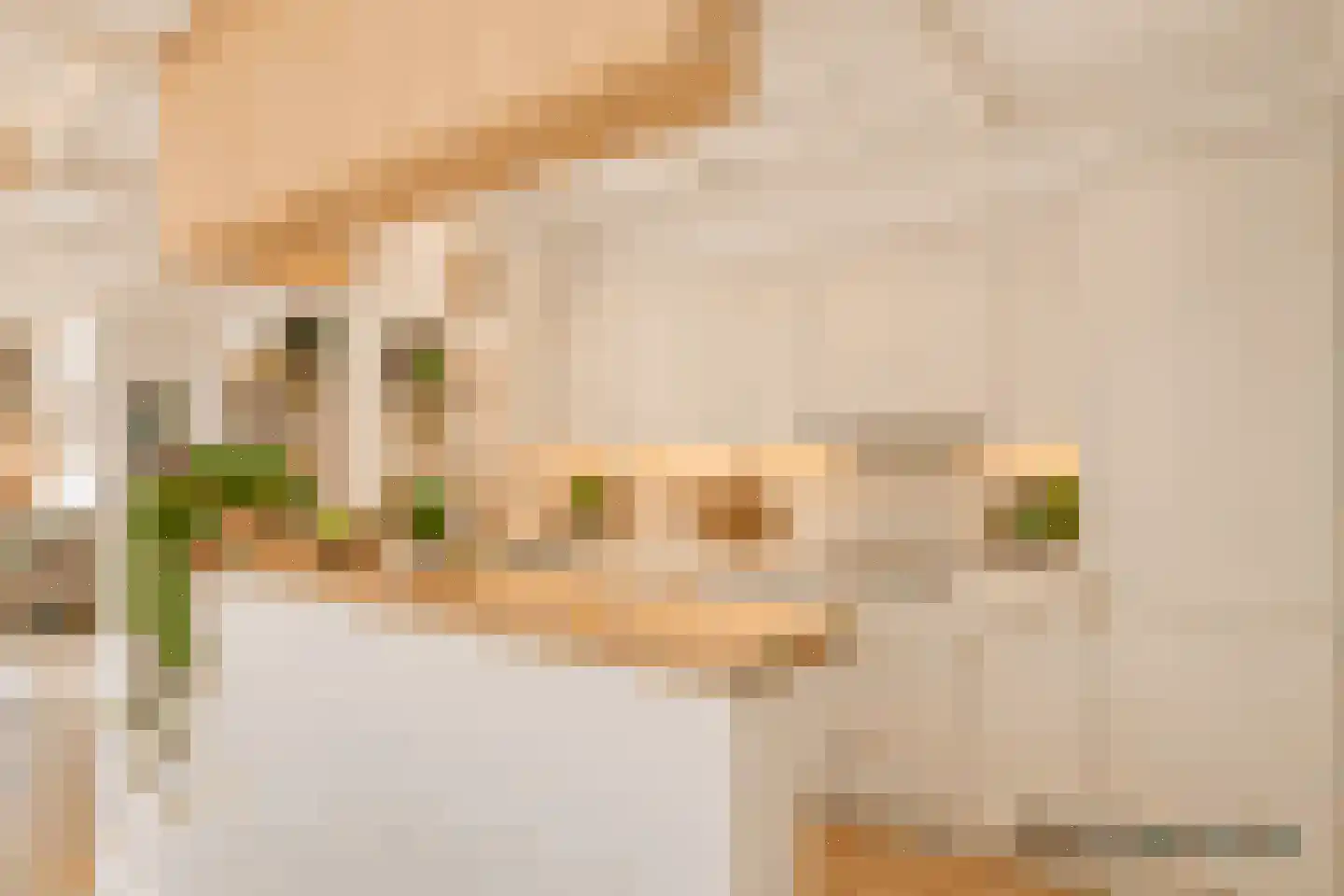 Tuinstraat 17 Zaandijk thumbnail 15
