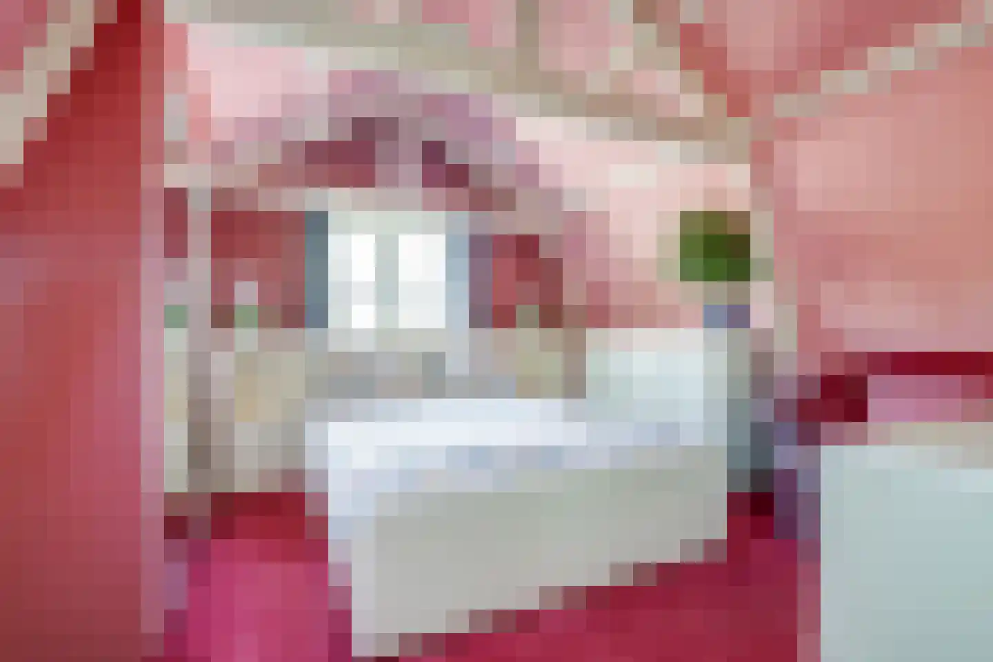 Tuinstraat 17 Zaandijk thumbnail 17