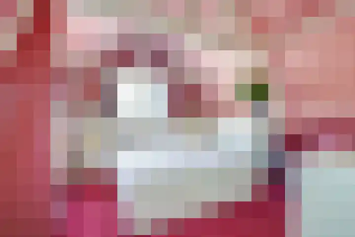 Tuinstraat 17 Zaandijk thumbnail 17