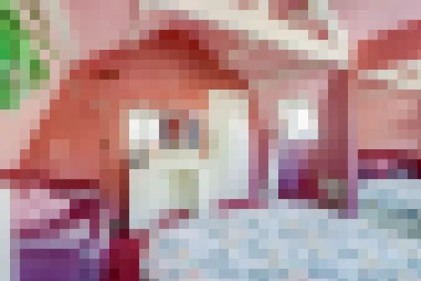 Tuinstraat 17 Zaandijk thumbnail 18