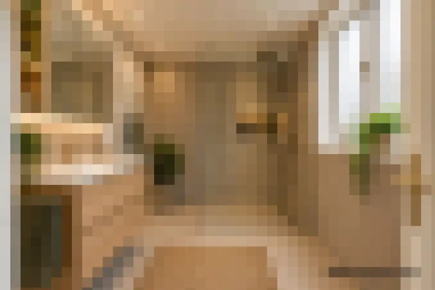 Tuinstraat 17 Zaandijk thumbnail 18