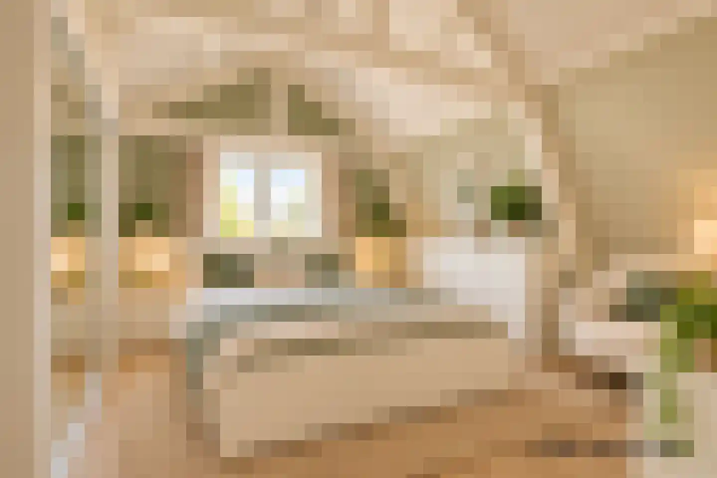 Tuinstraat 17 Zaandijk thumbnail 21