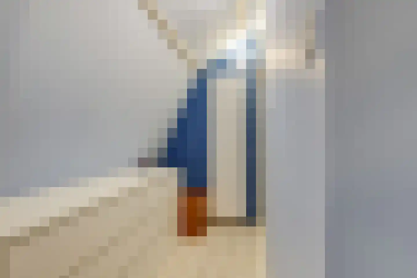 Tuinstraat 17 Zaandijk thumbnail 23