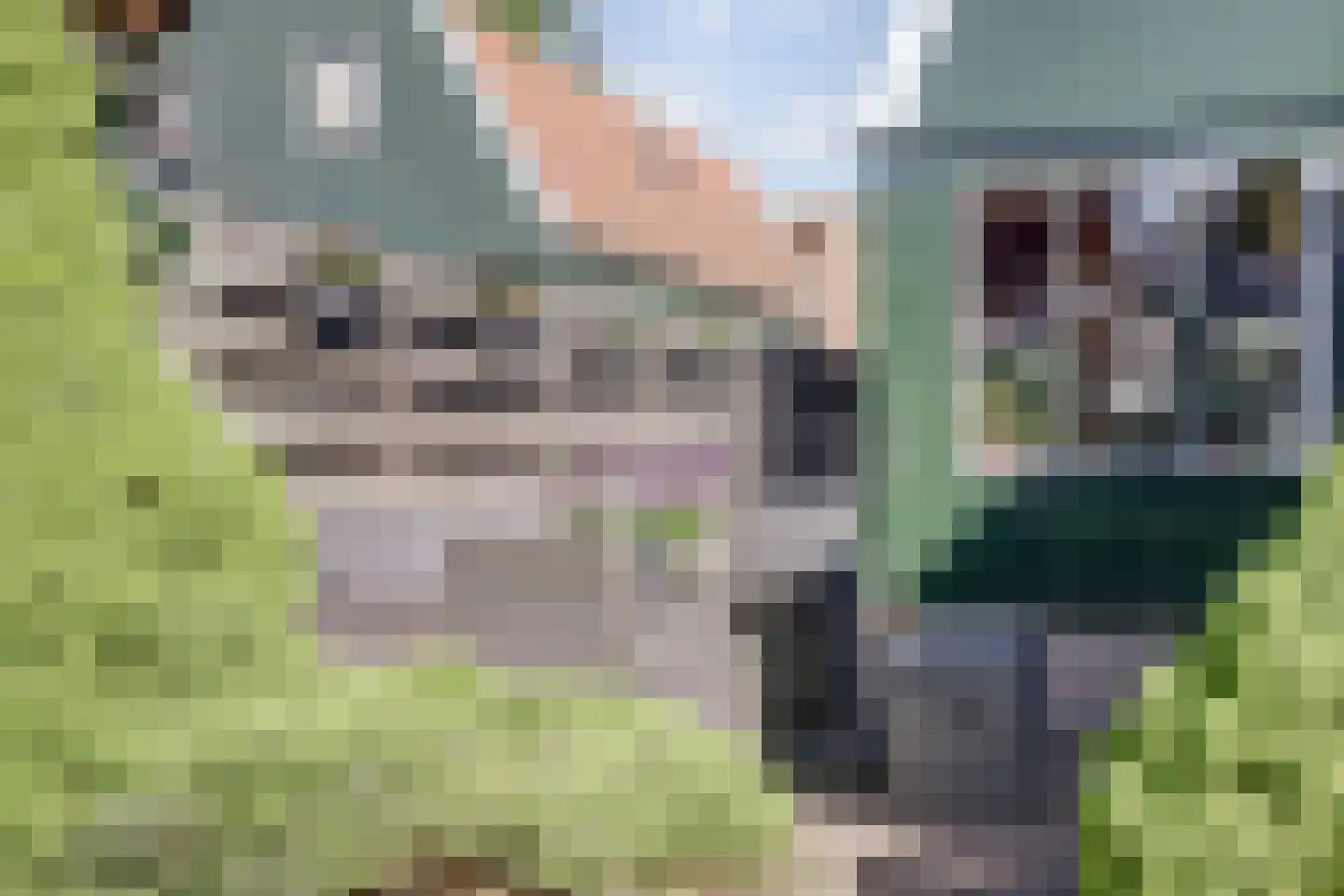 Tuinstraat 17 Zaandijk thumbnail 25