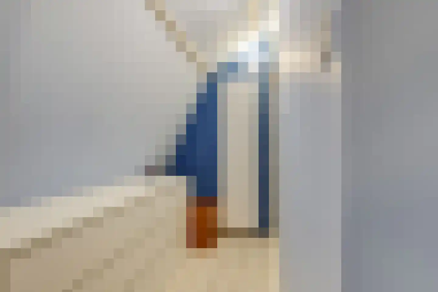 Tuinstraat 17 Zaandijk thumbnail 26