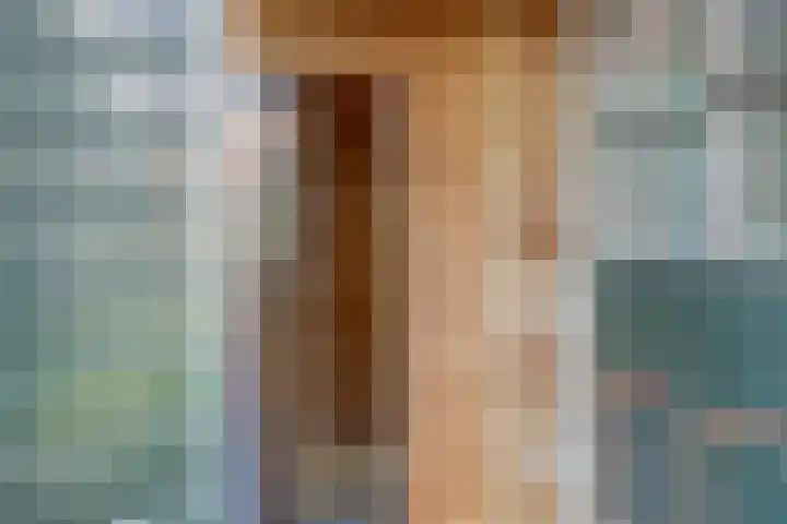 Tuinstraat 17 Zaandijk thumbnail 27
